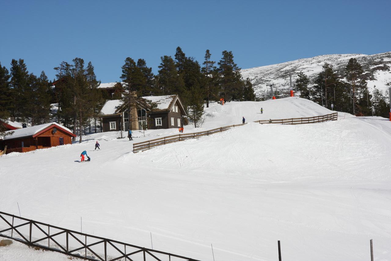 Lemonsjo Fjellstue Og Hyttegrend Randsverk Exteriér fotografie